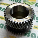 Pinion R277175