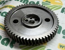 Pinion 747594M91