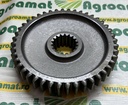 Pinion Viteaza-1 1660917M2