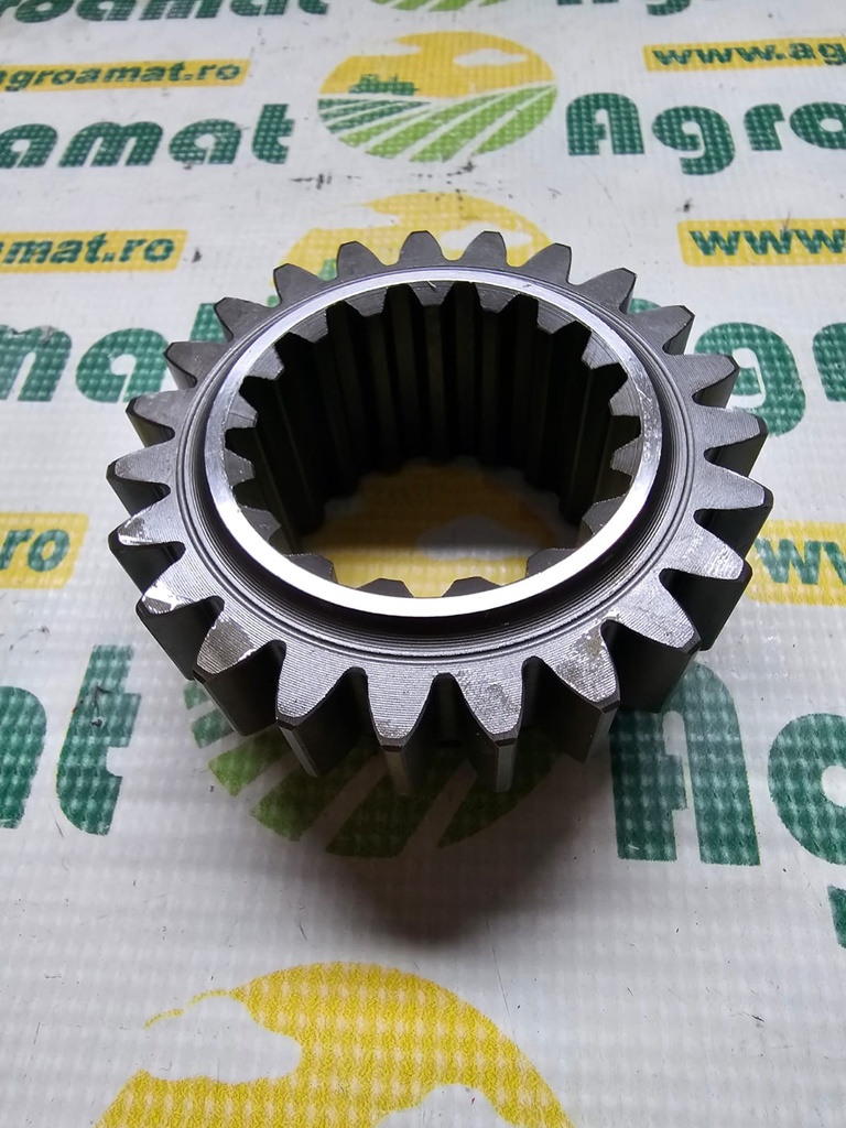 Pinion Viteaza-2 180419M1