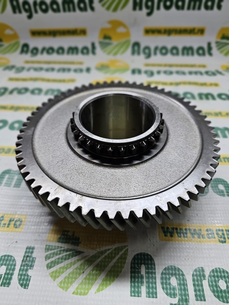 Pinion R277172