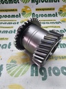 Pinion R258061