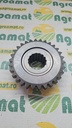 Pinion 049172P1