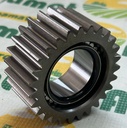 Set Pinion Satelit Fata RE271426