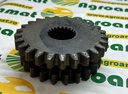 Pinion Dublu Z-22/25