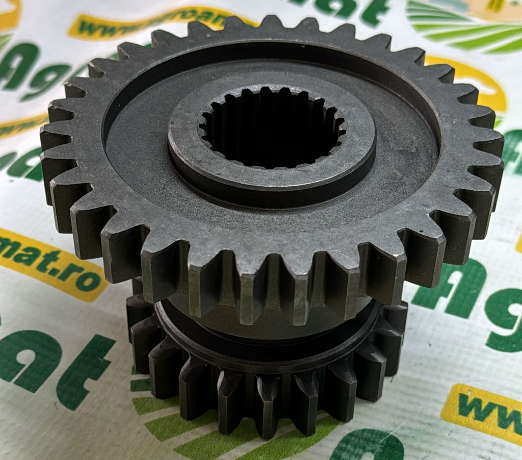 Pinion Z-21/31  631807