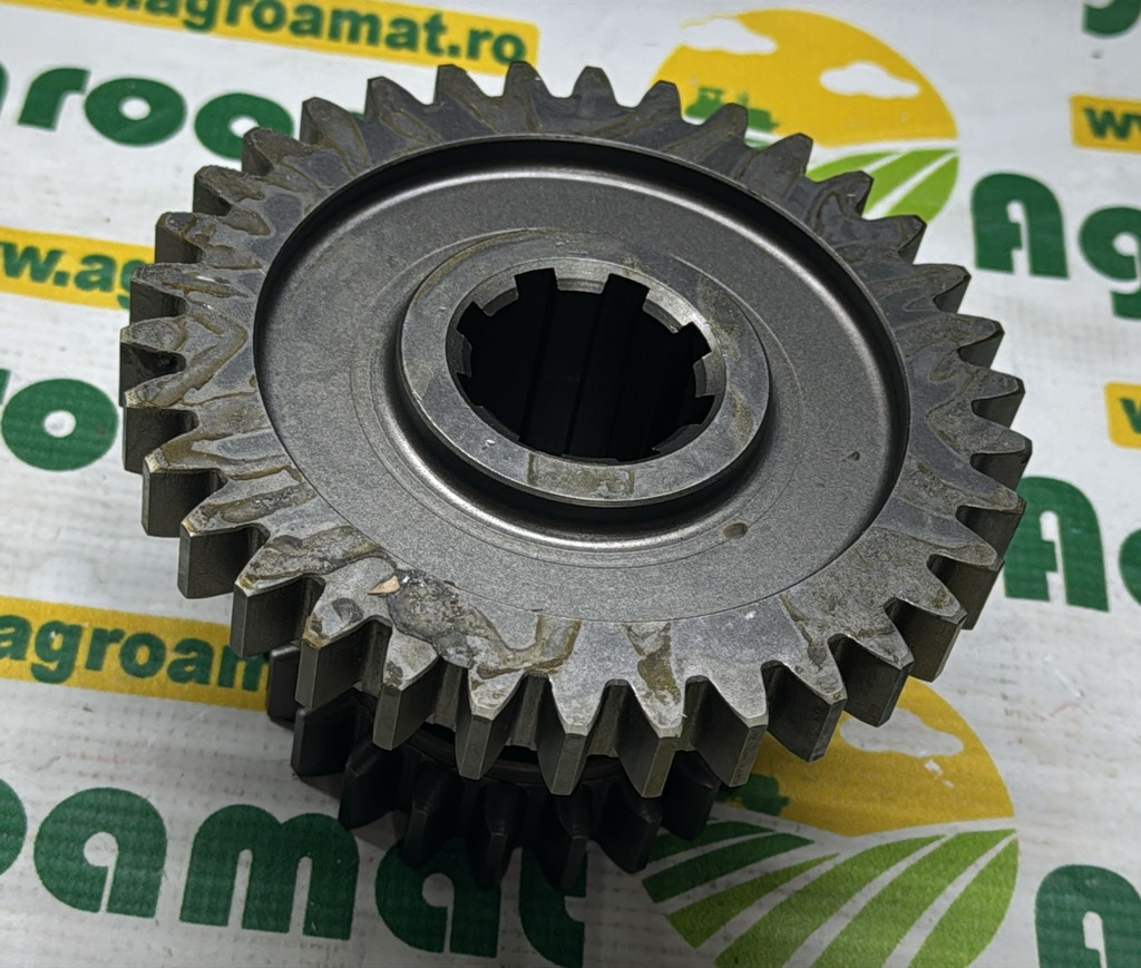 Pinion Z21/34