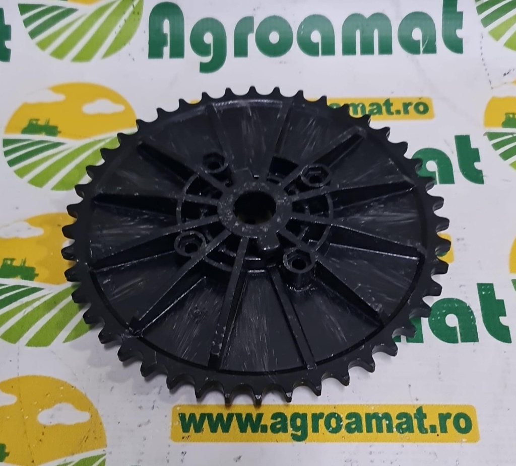 Pinion Amazone 116273