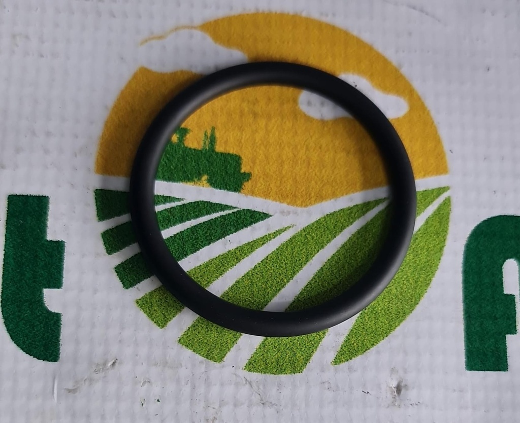 O-Ring Org.