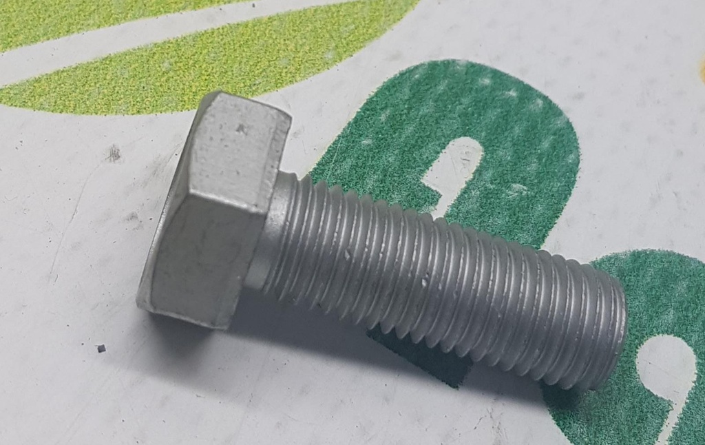 Bolt M10x1.25 - L 30mm