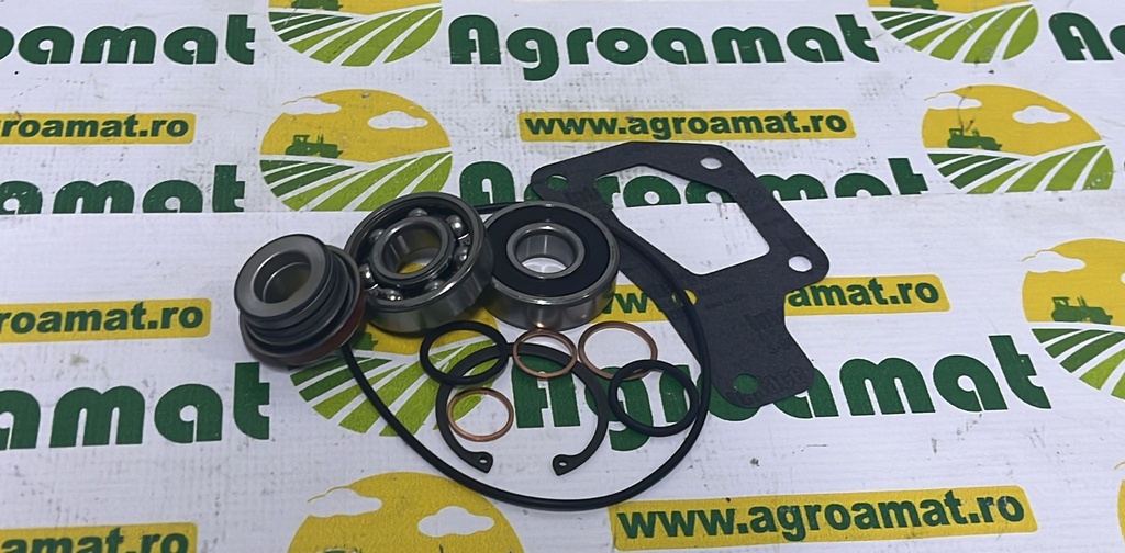 Kit Reparatie Pompa apa V837079407