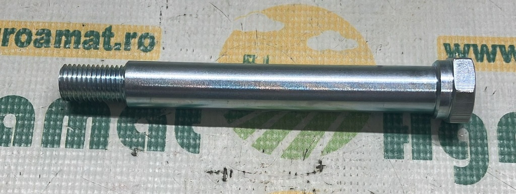 Bolt W247697B