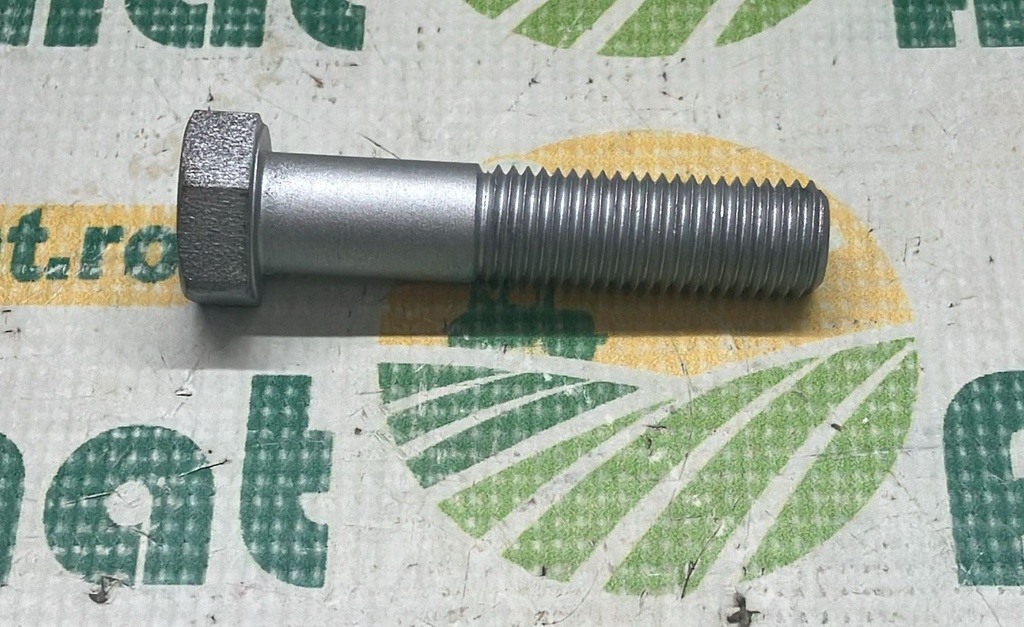 Bolt N858899