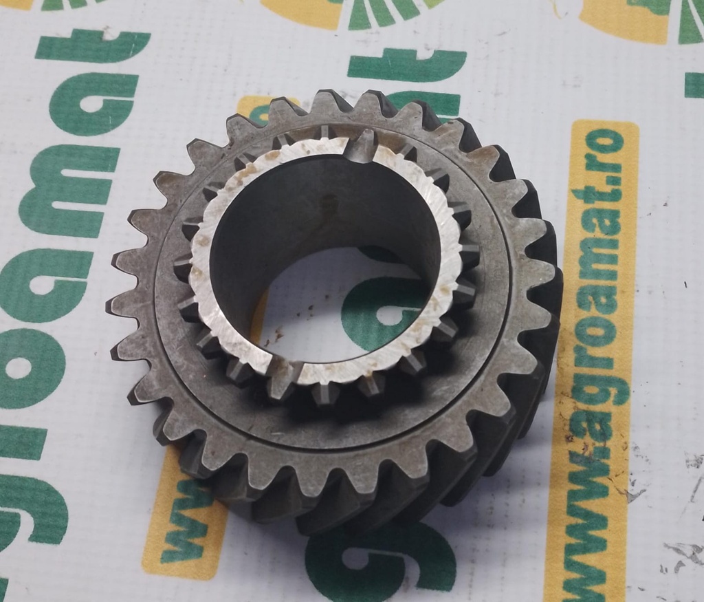 Pinion Grup Conic T21977