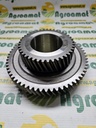 Pinion R277172