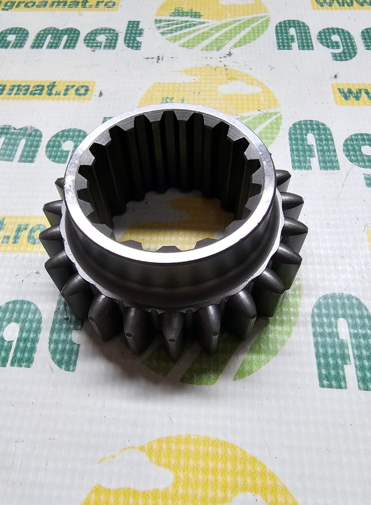 Pinion 180419M1