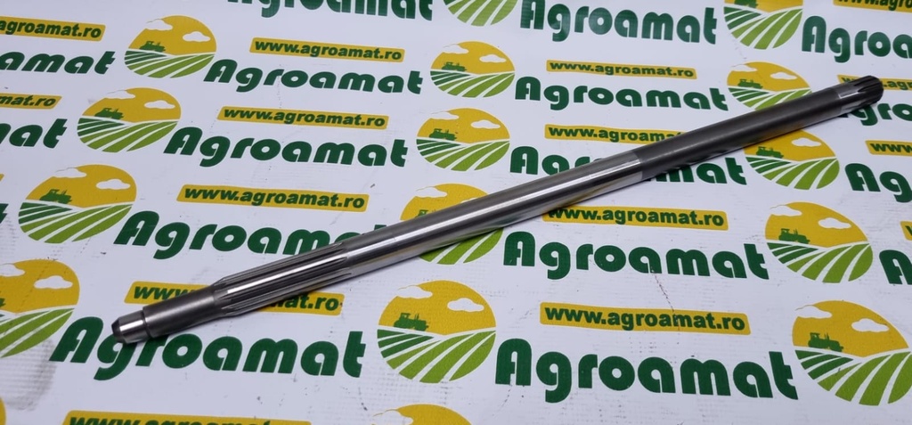 Arbore Canelat R134958