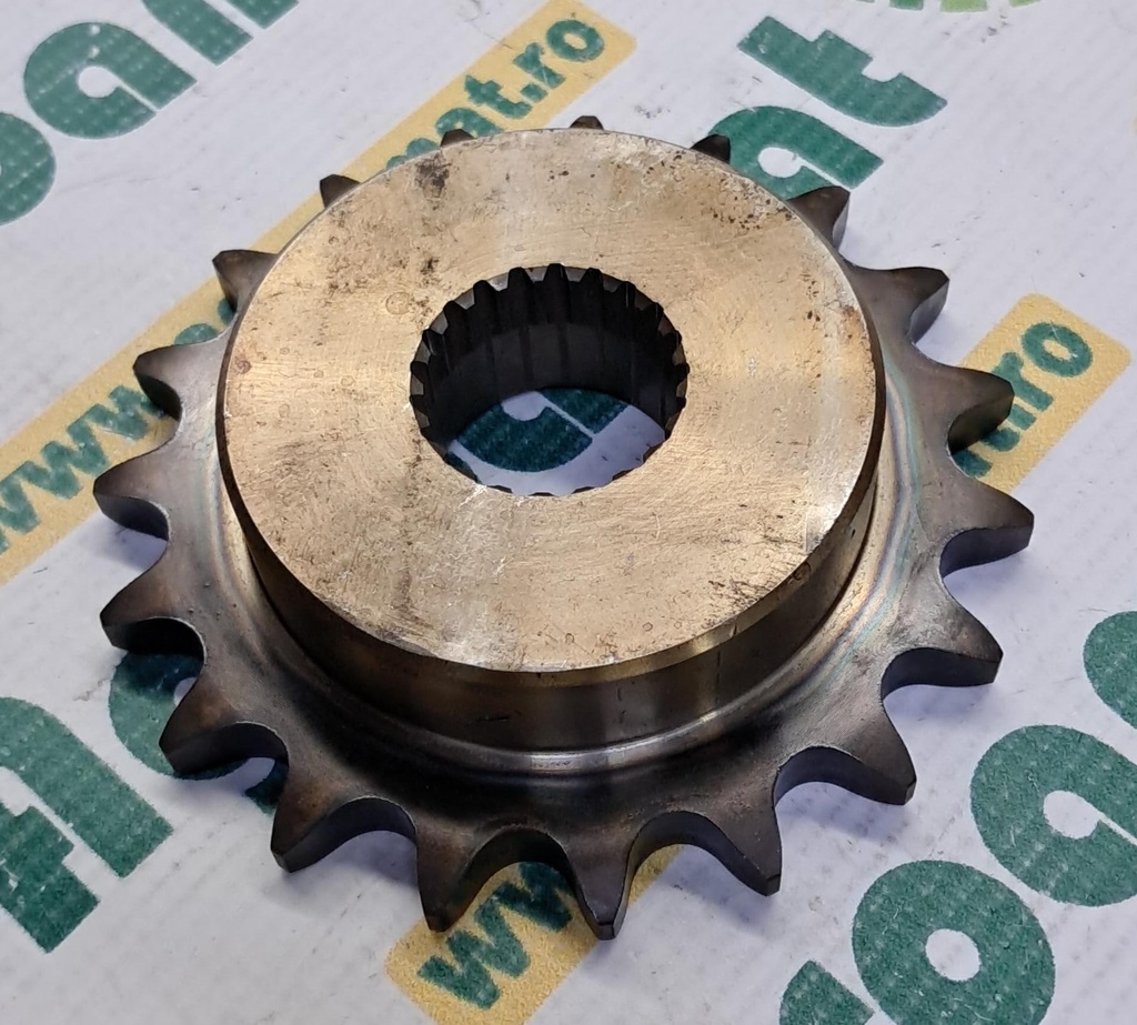 Pinion 030104