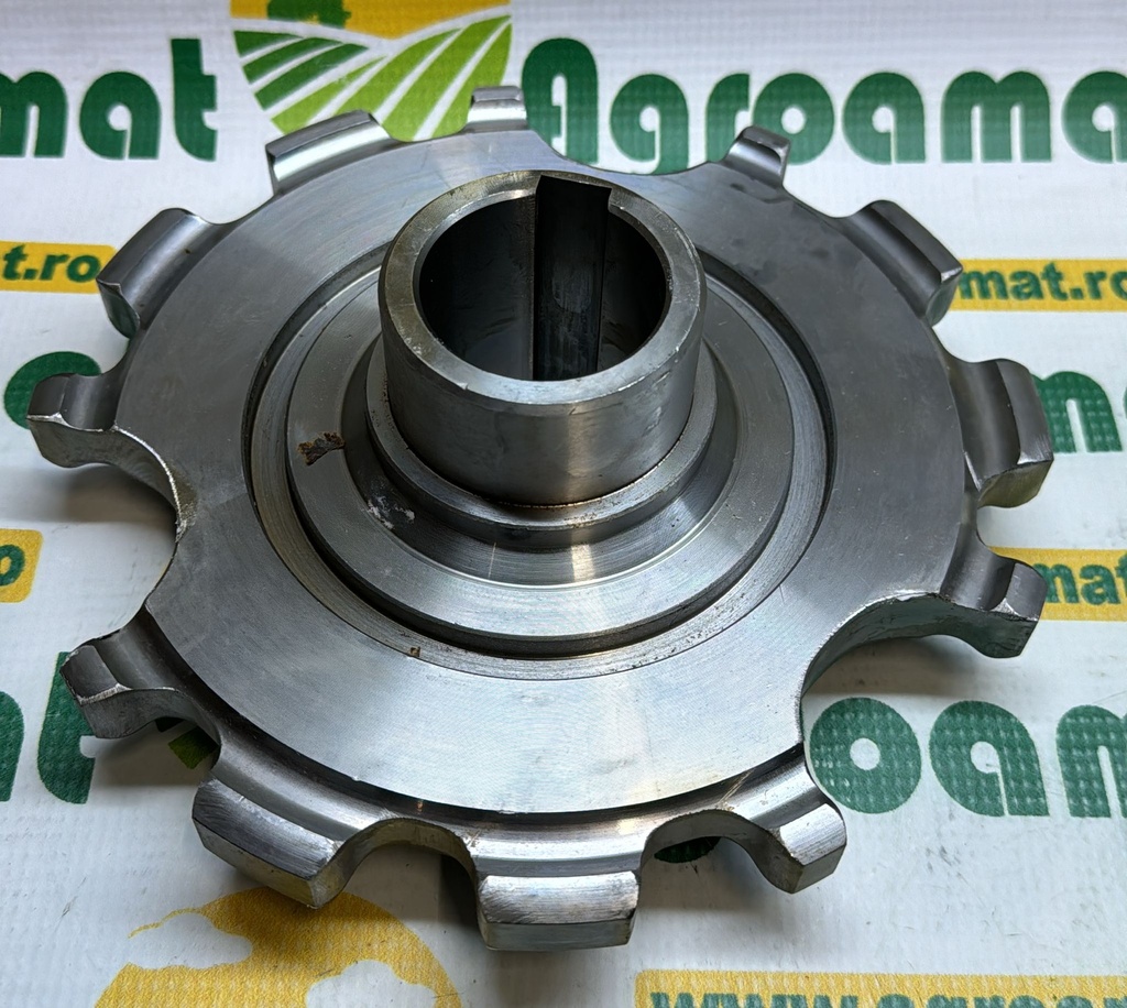 Pinion Wolagri/Fort 280512.2