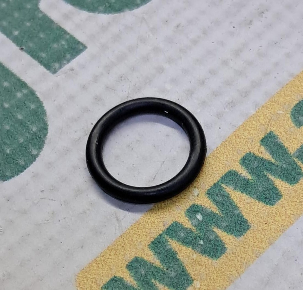 O-Ring 1000578M1