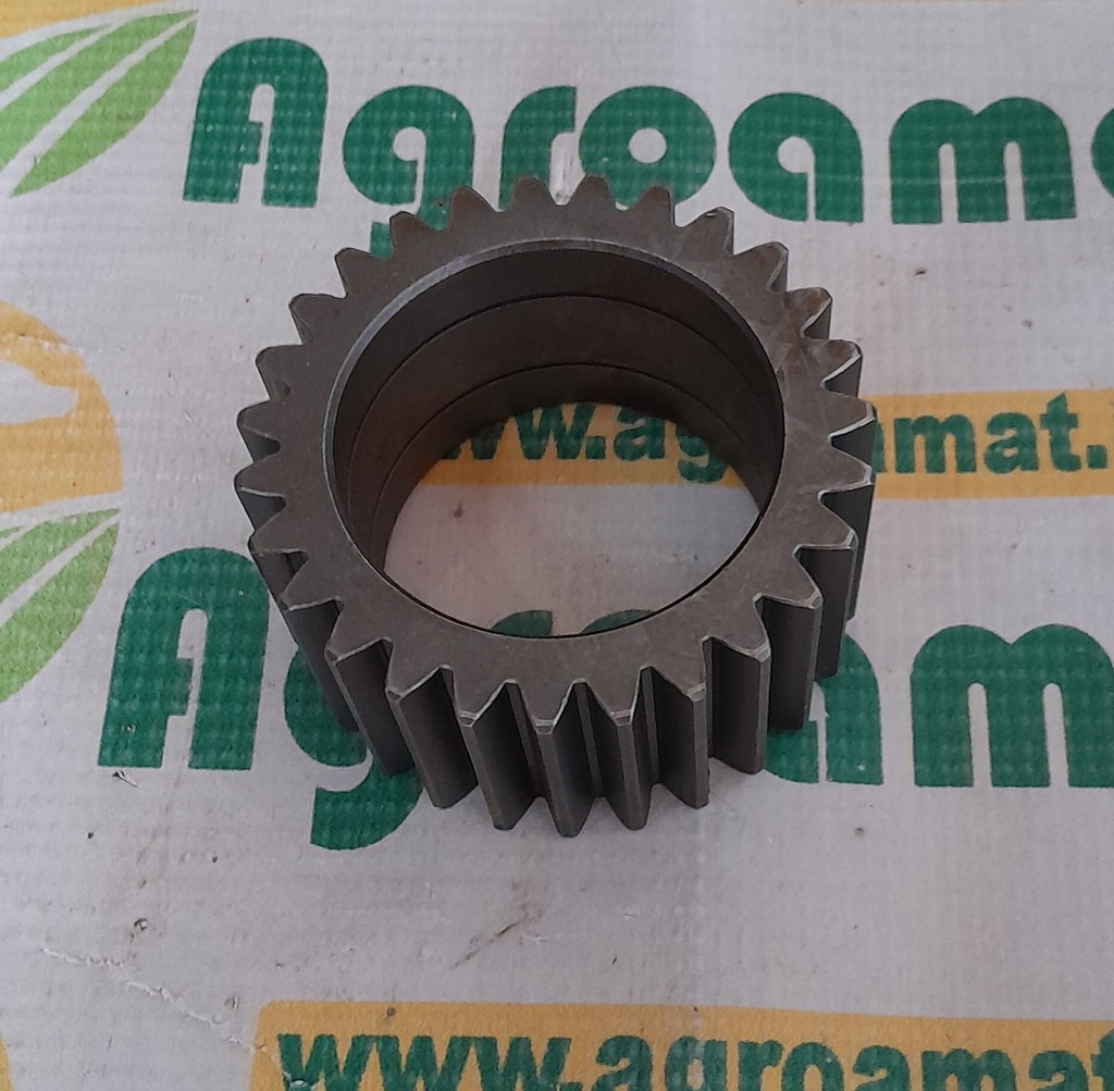 Pinion Satelite  F380306020210