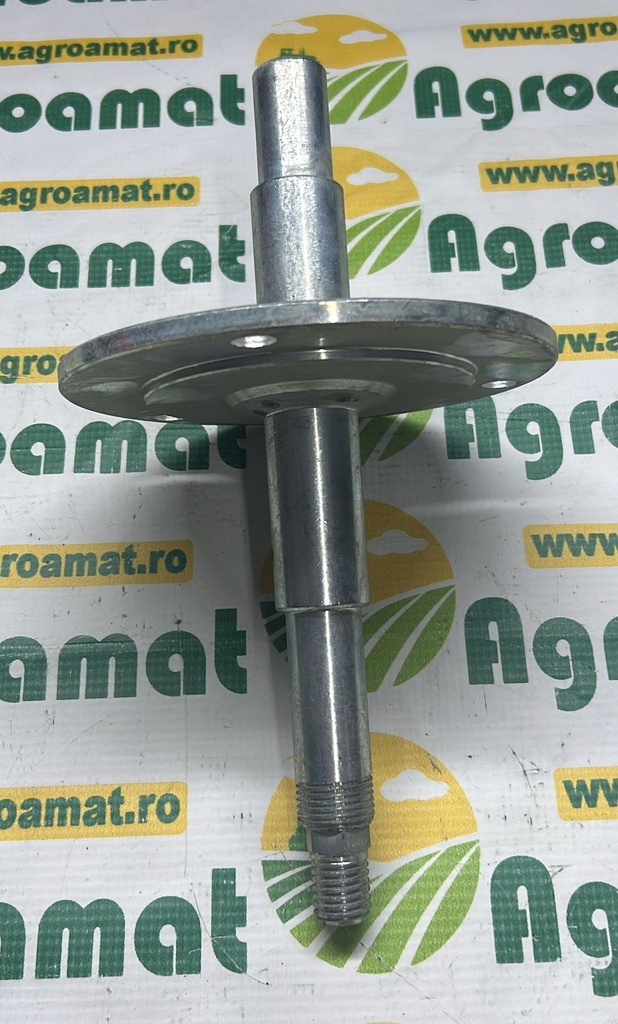 Ax Roata 31800001