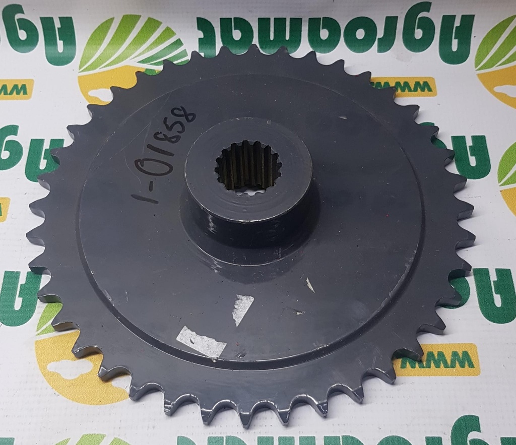 Pinion 748432.0 z40/16