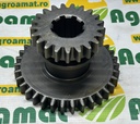 Pinion Z21/34