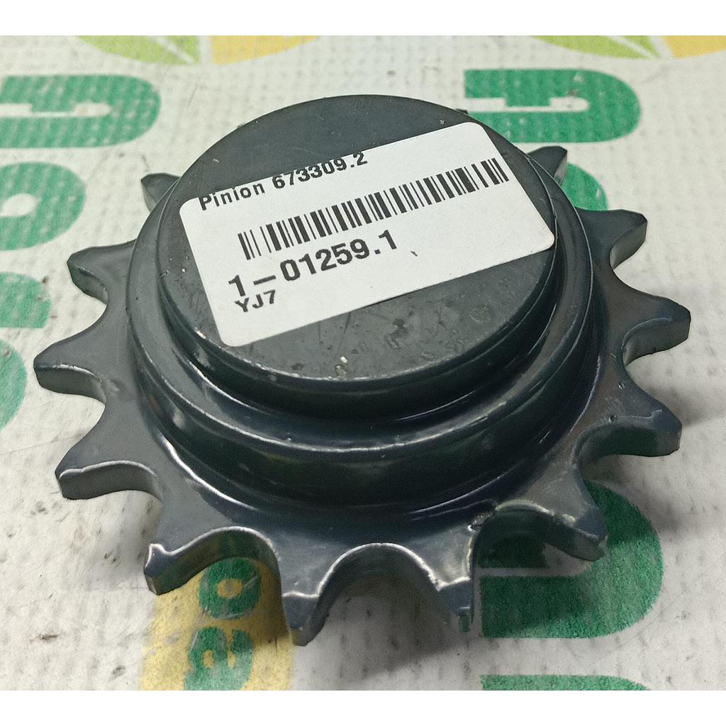 Pinion 673309.2