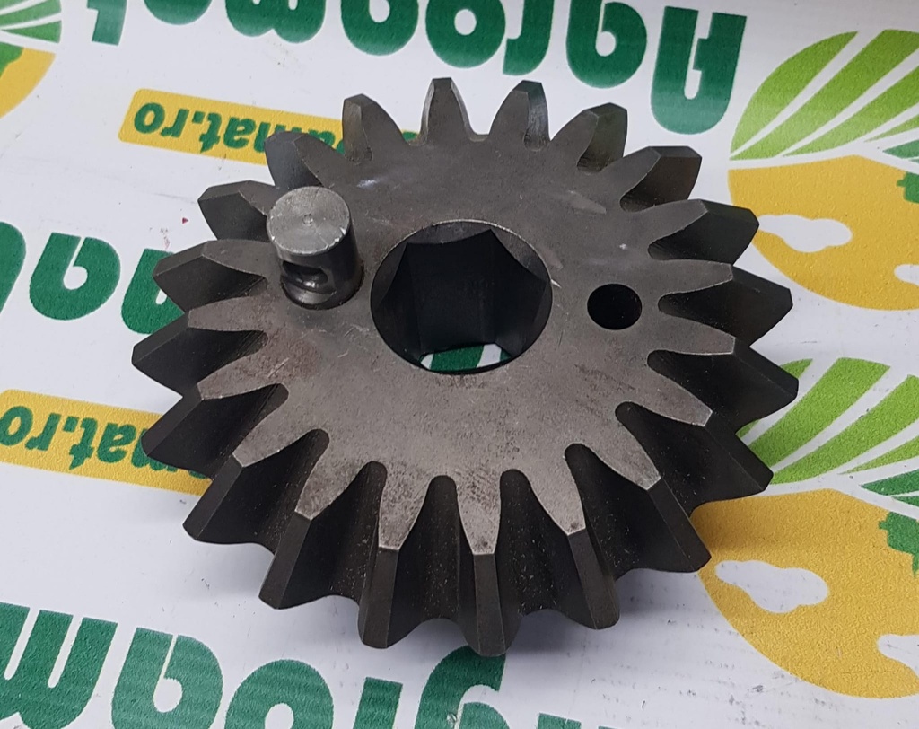 Pinion Conic 1124.20.02.01