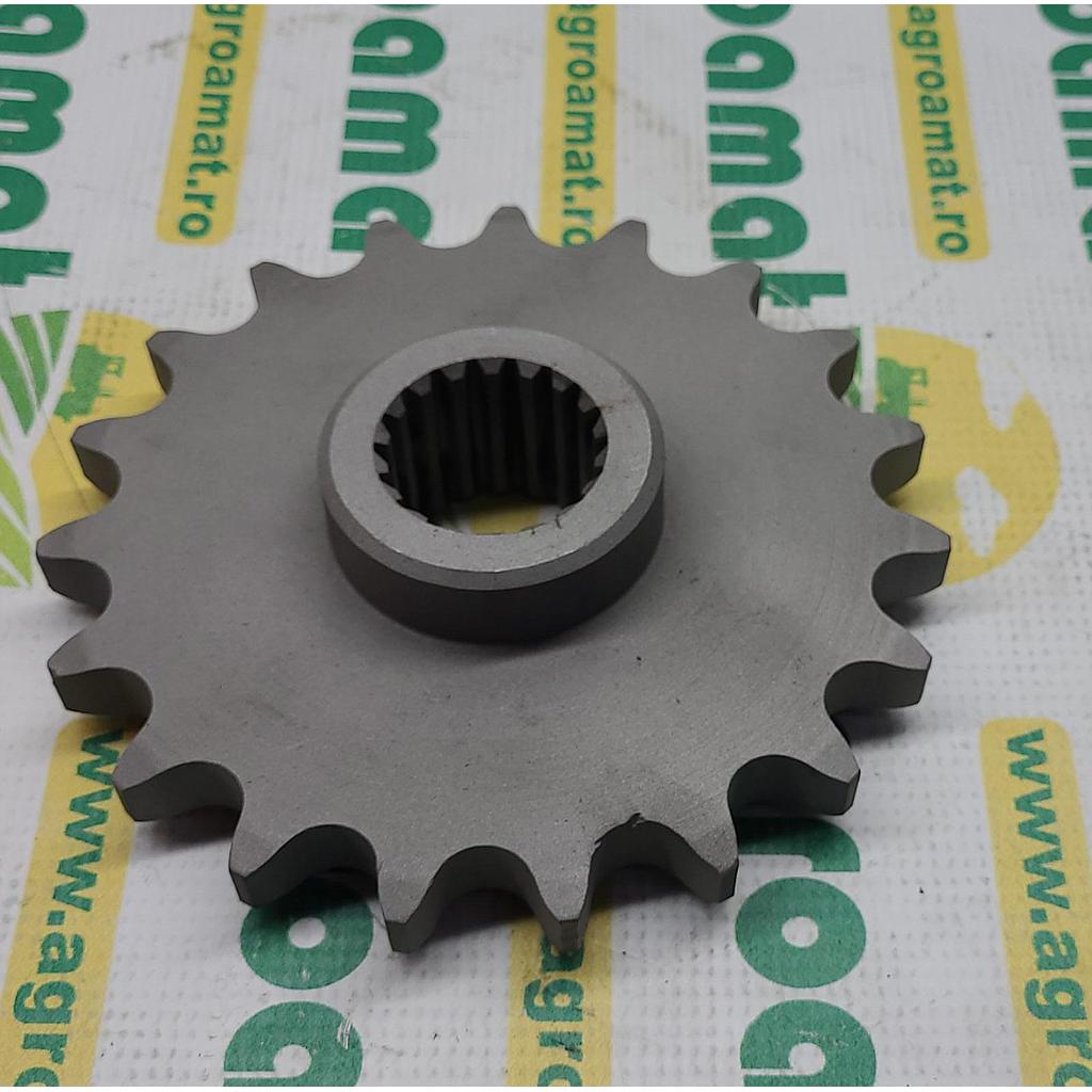 Pinion Z-19 Z4200370