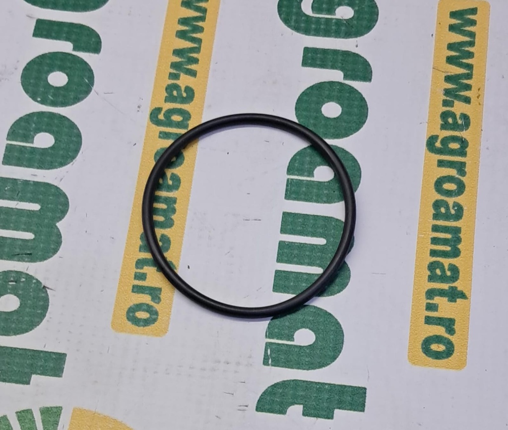 O-Ring 3384523M1