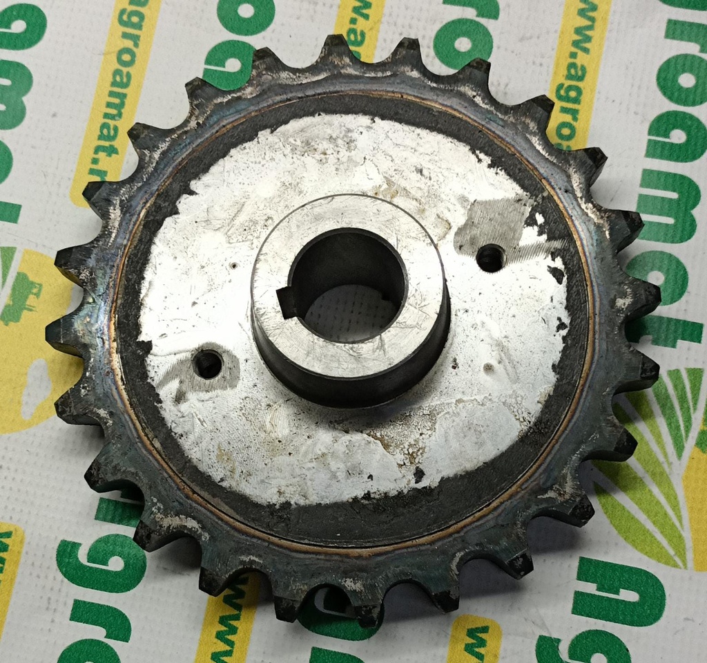 Pinion Z-24 LA322774550