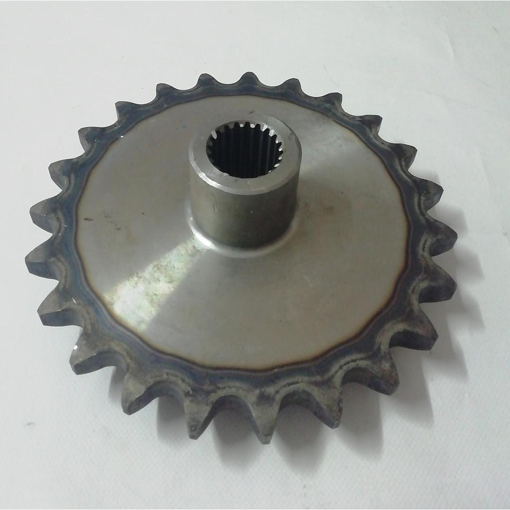 Pinion Org Z-23