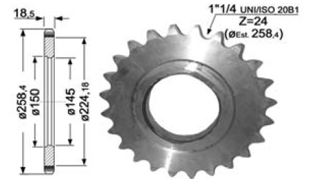 Pinion Org Z-24