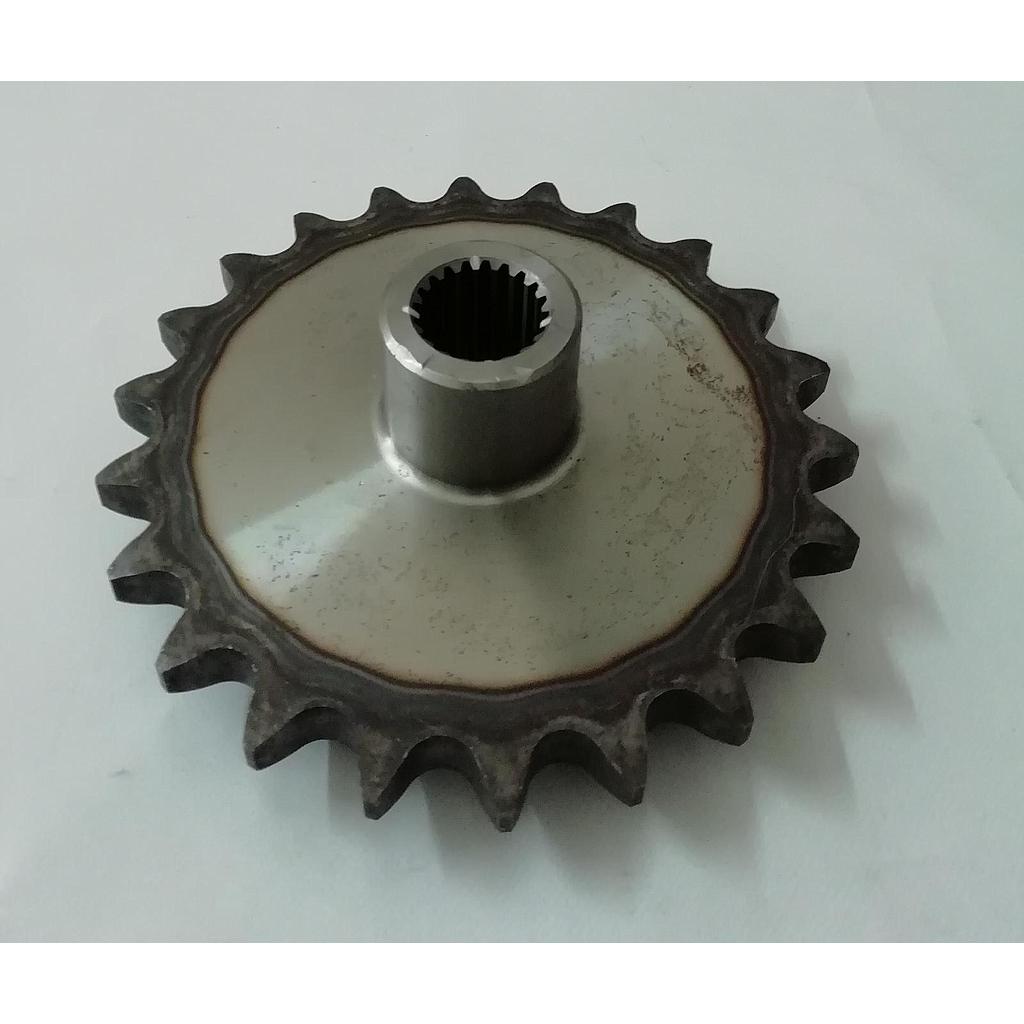 Pinion Org Z-22