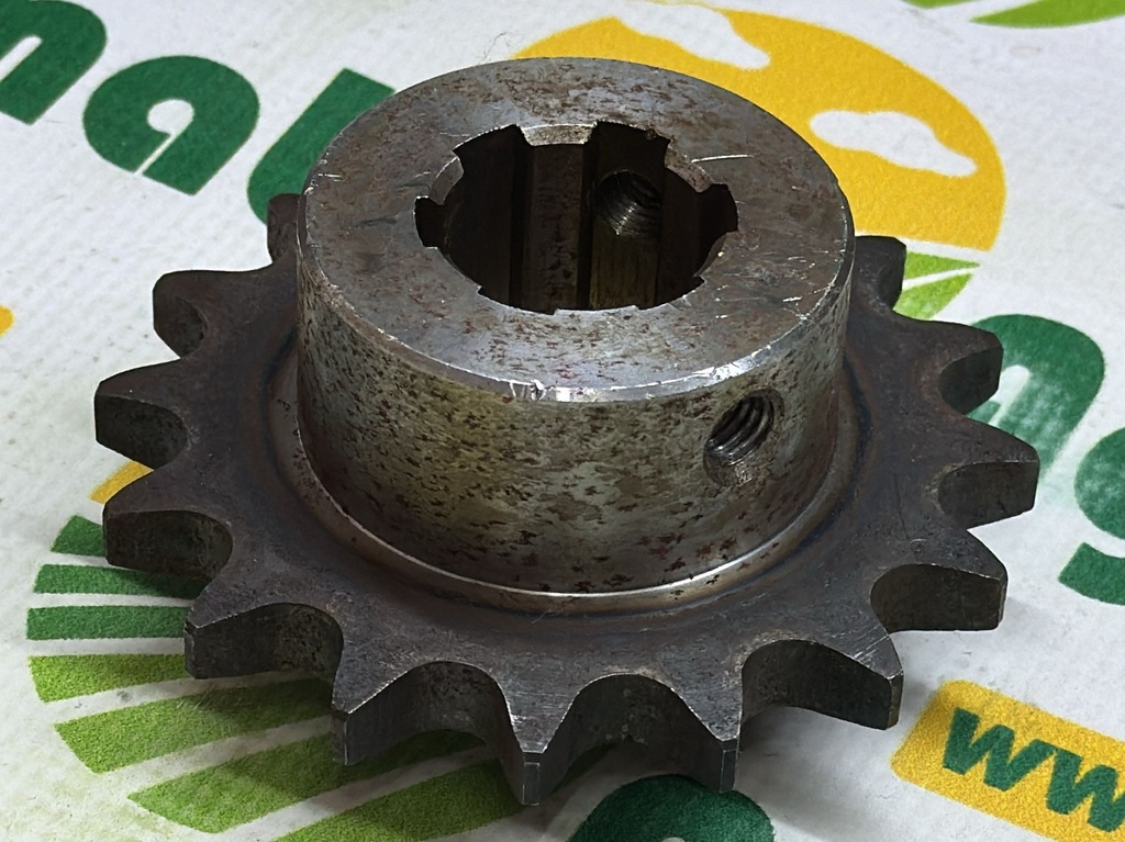 Pinion Z-16 300132385