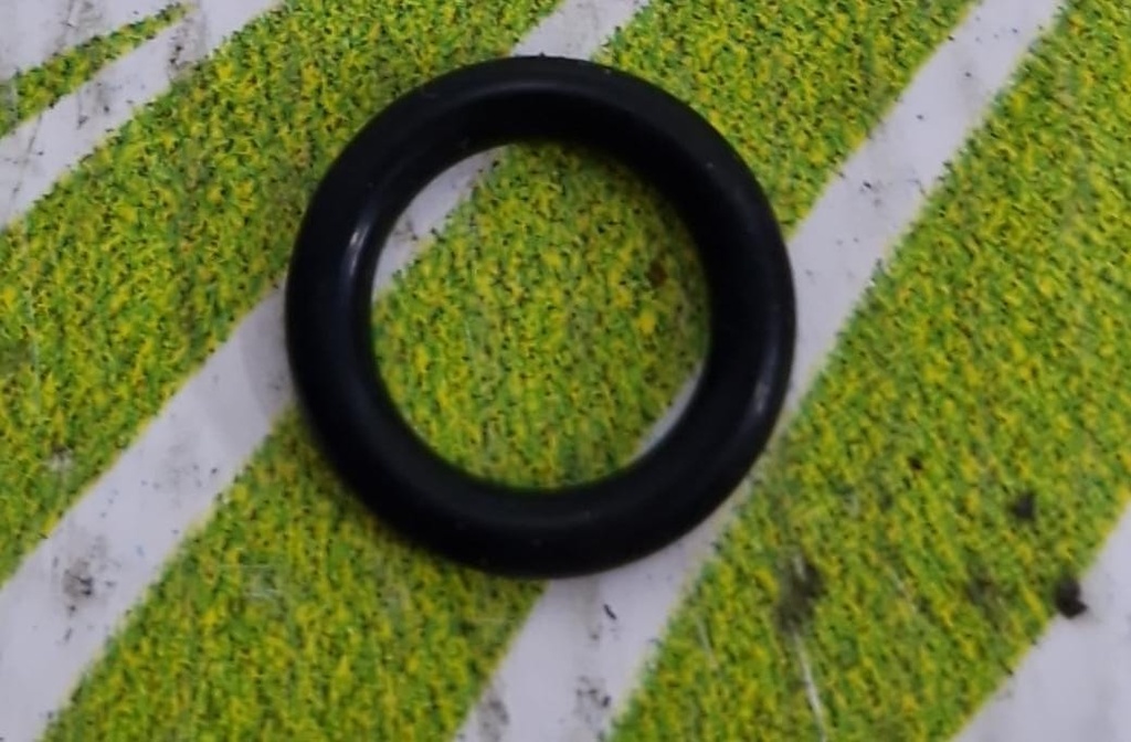 O-Ring