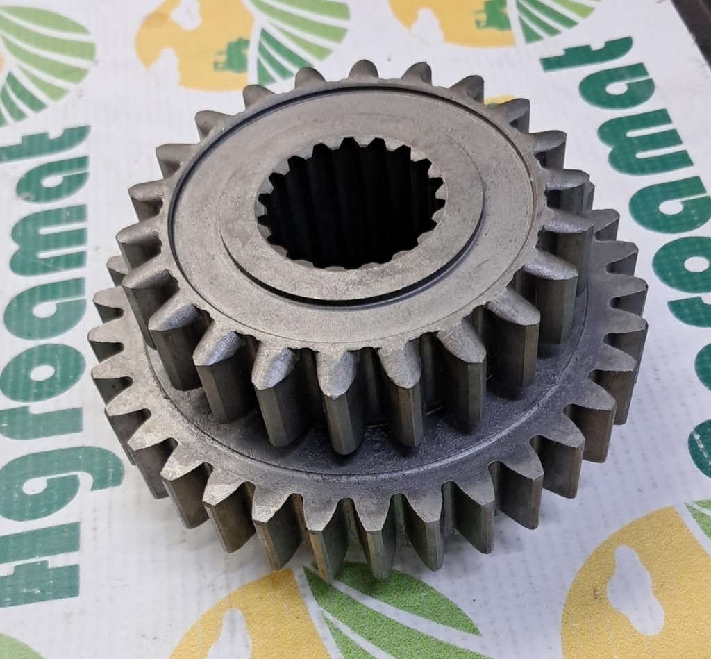 Pinion 230202M1