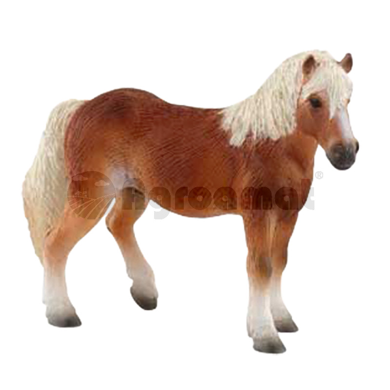 Iapa Haflinger