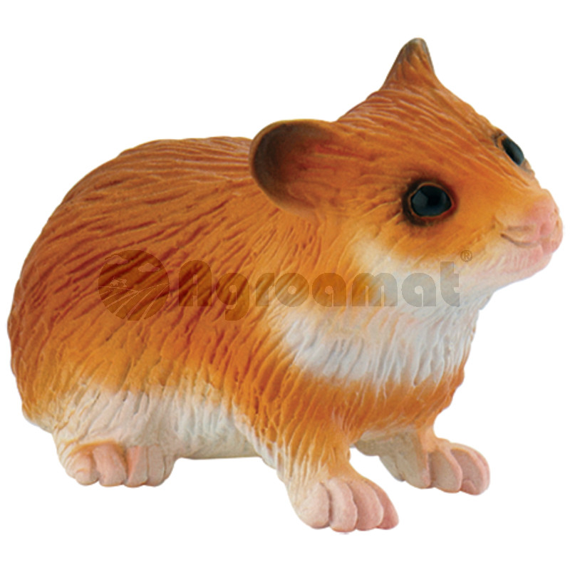 Hamster