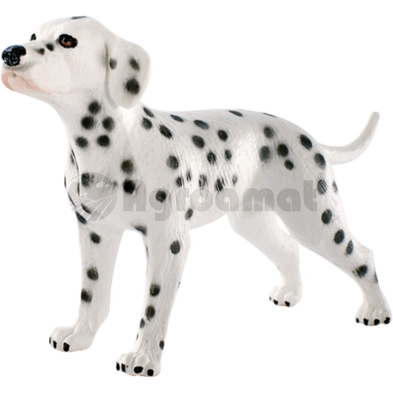 Dalmatian Bingo