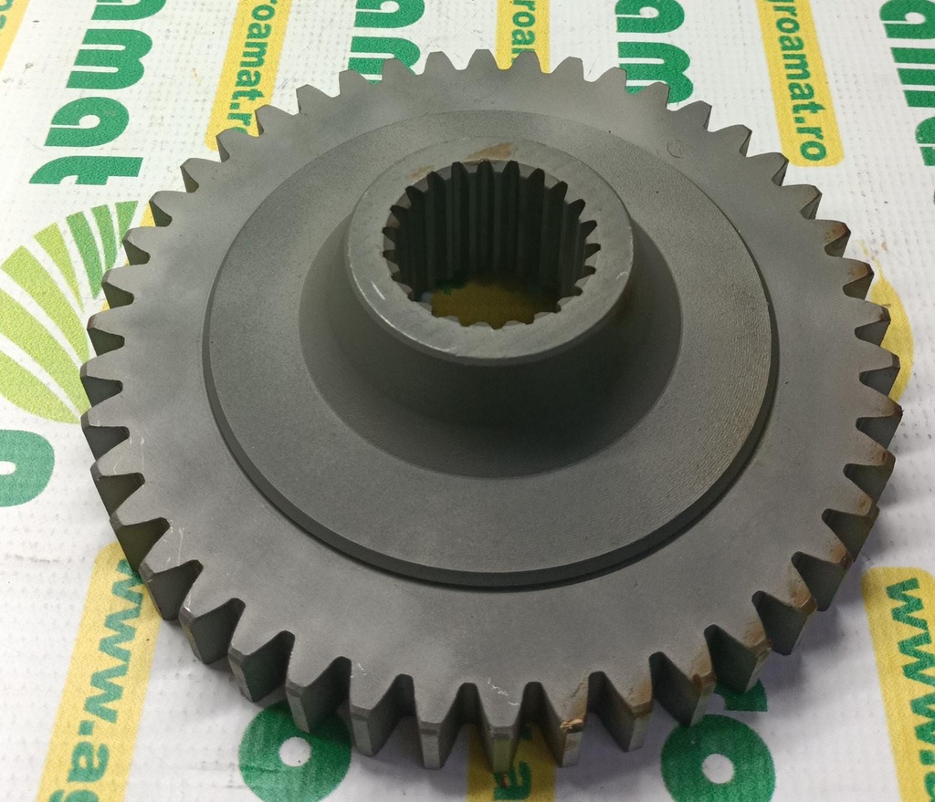 Pinion 384262  Z44