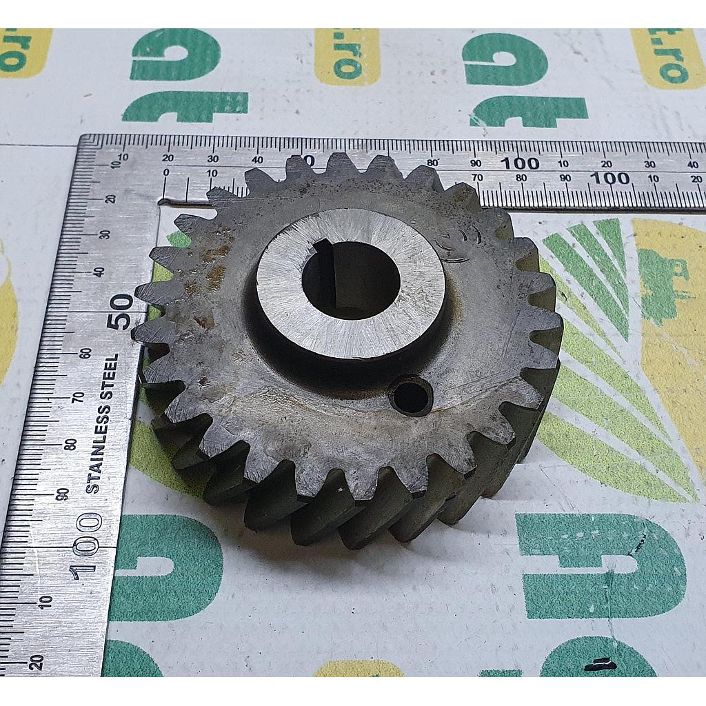 Pinion 89510163