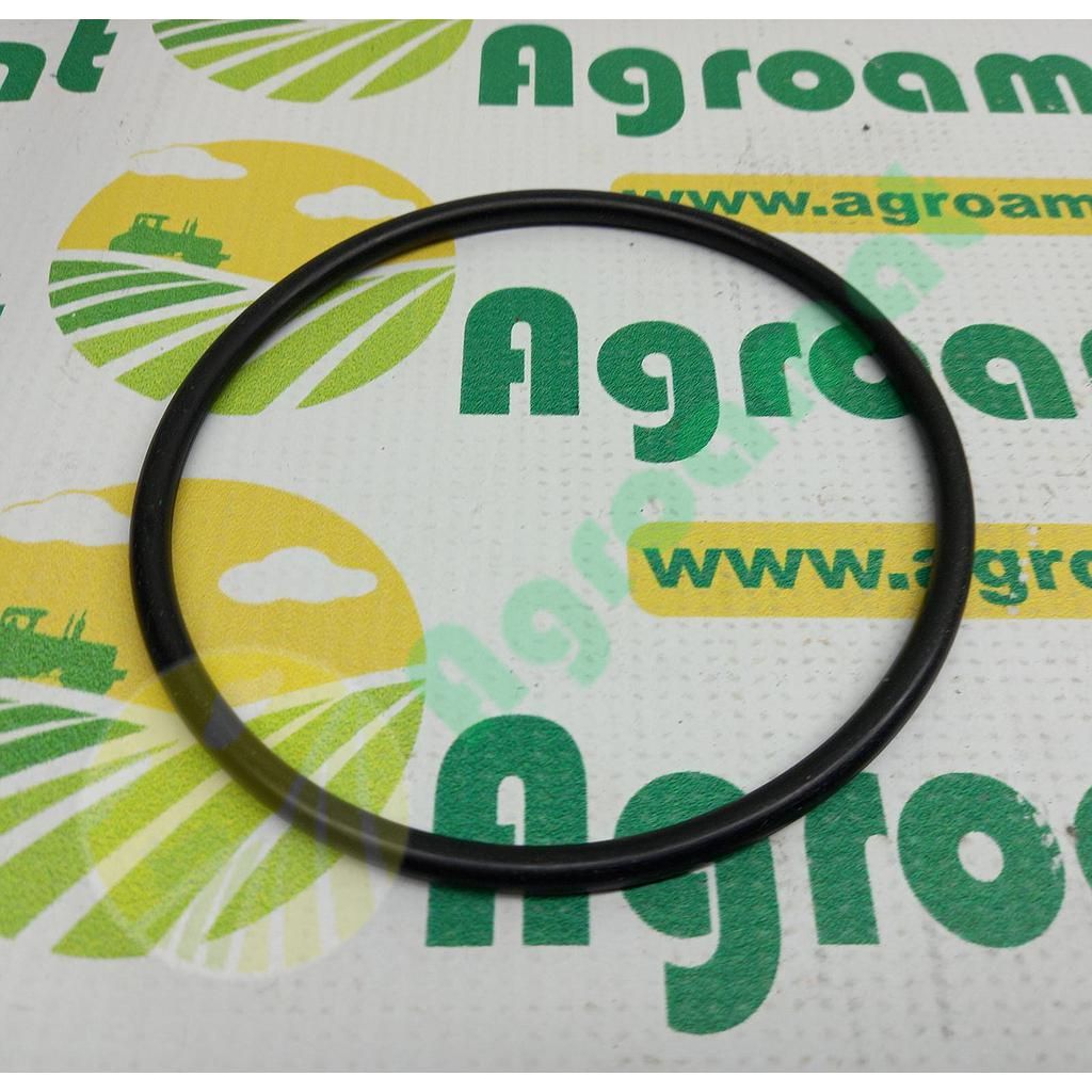 O-Ring 302910A1