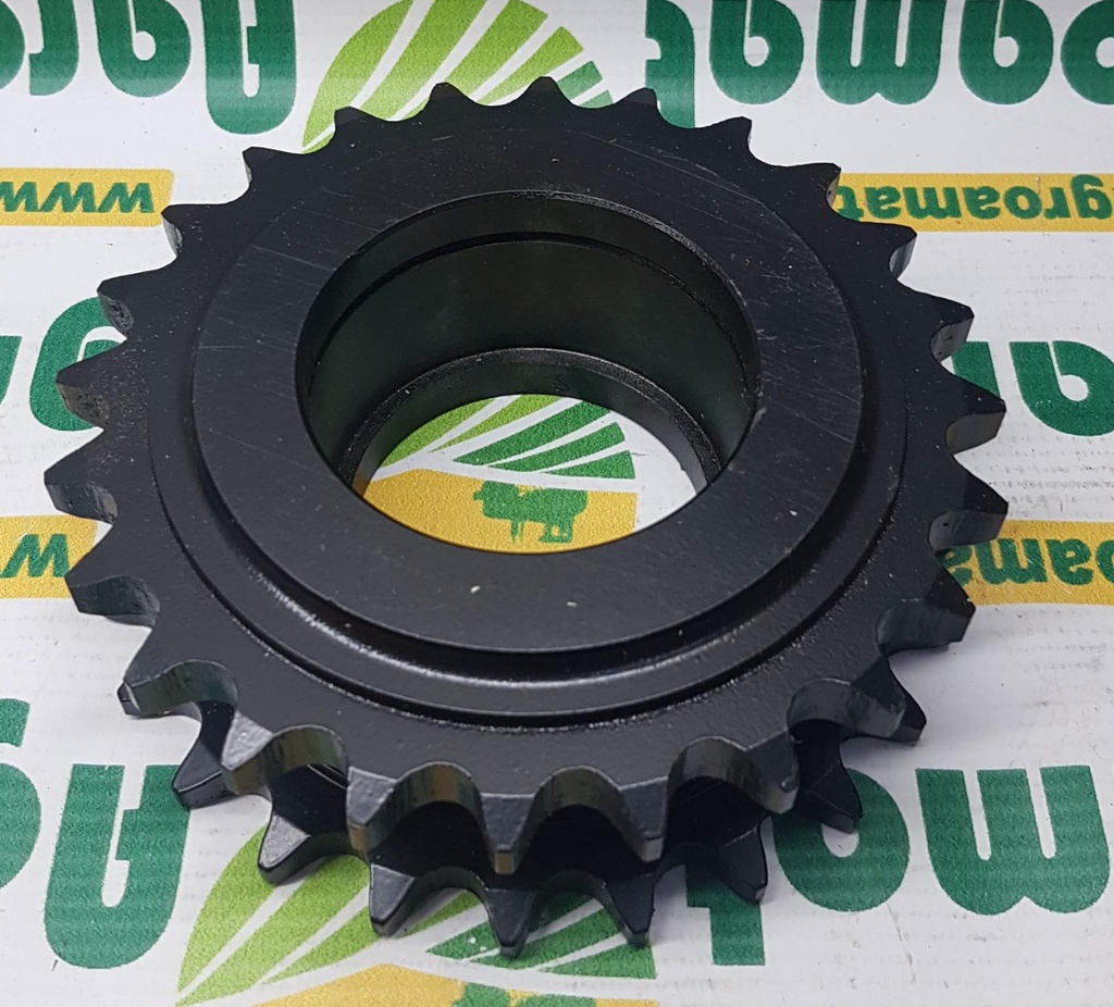 Pinion Z12489