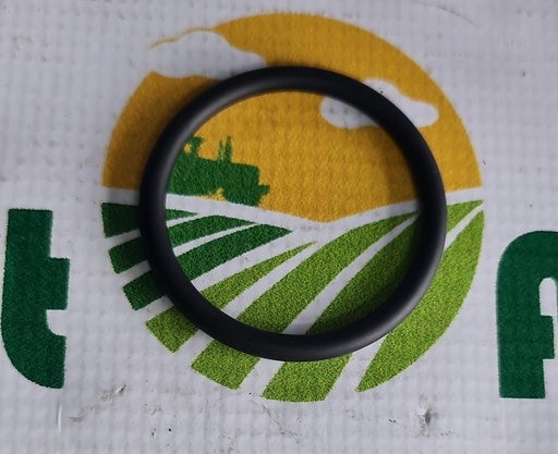 [AMAT1-41845] O-Ring Org. 01180277