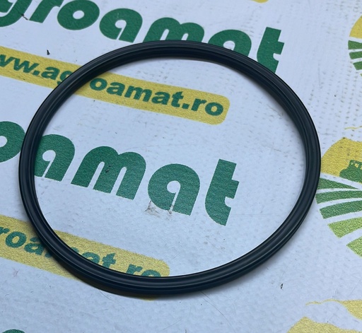 [AMAT1-42832] O-Ring Punte Fata 3713940M1 110x119x5MM