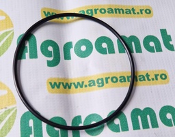 [AMAT1-45545] O-Ring 115x4mm