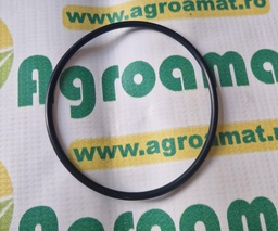 [AMAT1-45575] O-Ring 89x4mm